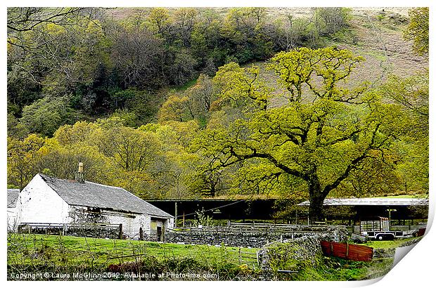 Spring at the Farm Print by Laura McGlinn Photog