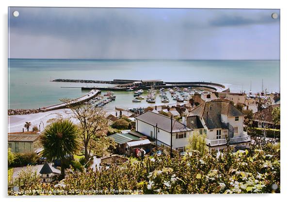 Cobb, Lyme Regis Acrylic by Elaine Whitby