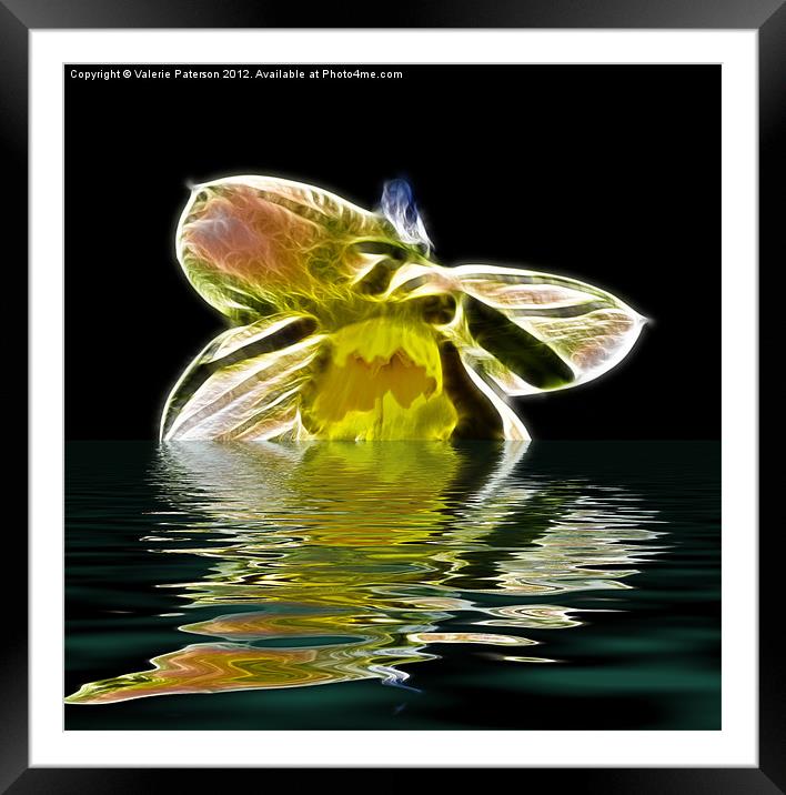 Watery Petals Framed Mounted Print by Valerie Paterson