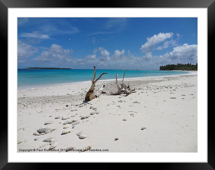 Drift wood Framed Mounted Print by Paul Rickford