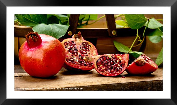 Pomegranates Framed Mounted Print by Cathy Pyle