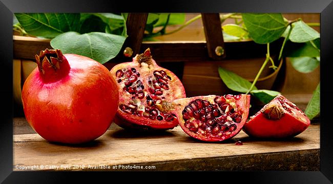 Pomegranates Framed Print by Cathy Pyle