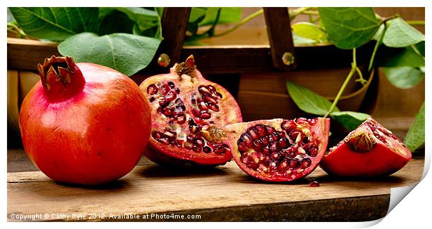 Pomegranates Print by Cathy Pyle