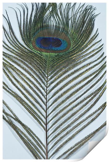 Towards the eye Print by Steve Purnell