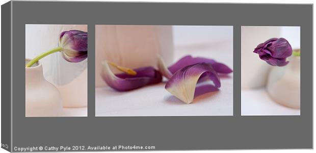 Tulips triptych Canvas Print by Cathy Pyle