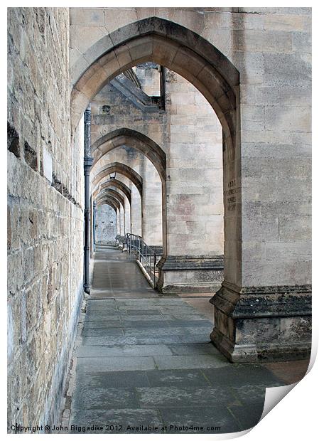 Winchester Cathedral Arches Print by John Biggadike
