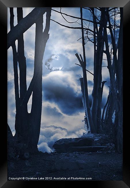 Blue Magic Framed Print by Christine Lake