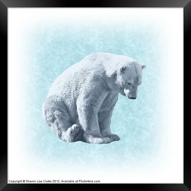 Bear Framed Print by Sharon Lisa Clarke