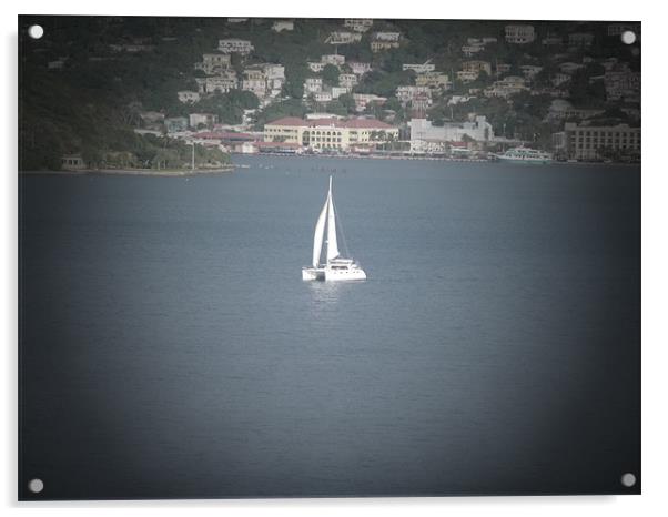 Sailing in the Caribbean Acrylic by Annabelle Cottle