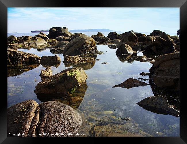 Rock Pool Framed Print by carol mcrae