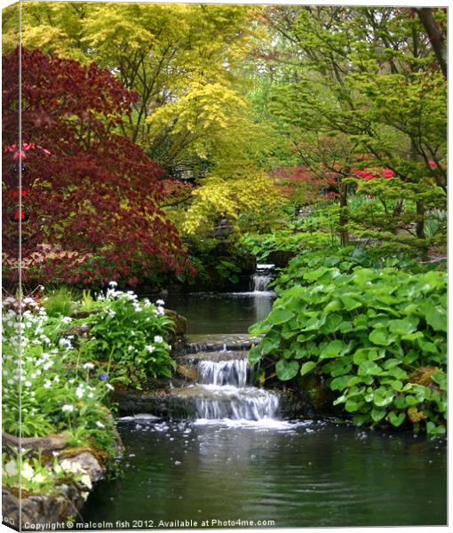 EXBURY GARDENS IN APRIL 1 Canvas Print by malcolm fish