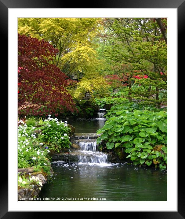 EXBURY GARDENS IN APRIL 1 Framed Mounted Print by malcolm fish