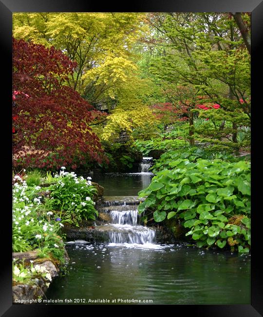 EXBURY GARDENS IN APRIL 1 Framed Print by malcolm fish