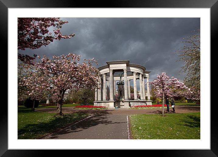 Cathays Park Framed Mounted Print by Gail Johnson