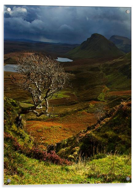 Lone Tree, The Quiraing Acrylic by Judy Andrews