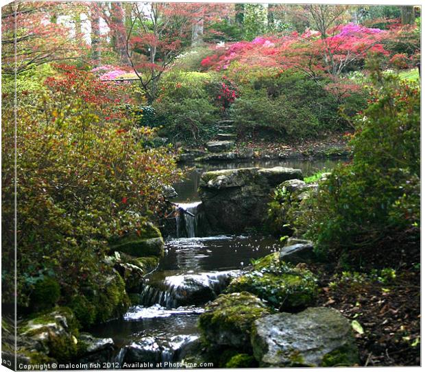 EXBURY GARDENS IN APRIL 2 Canvas Print by malcolm fish