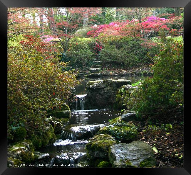 EXBURY GARDENS IN APRIL 2 Framed Print by malcolm fish