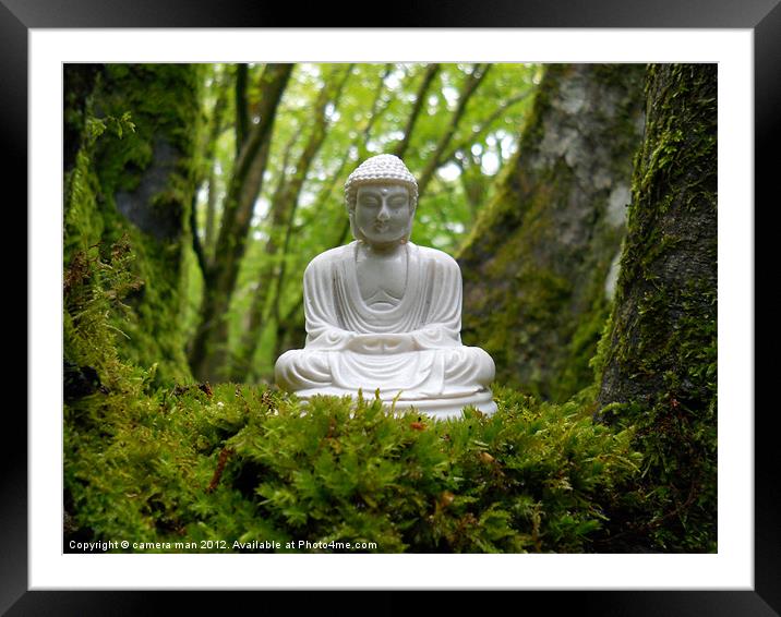 Buddha moss Framed Mounted Print by camera man