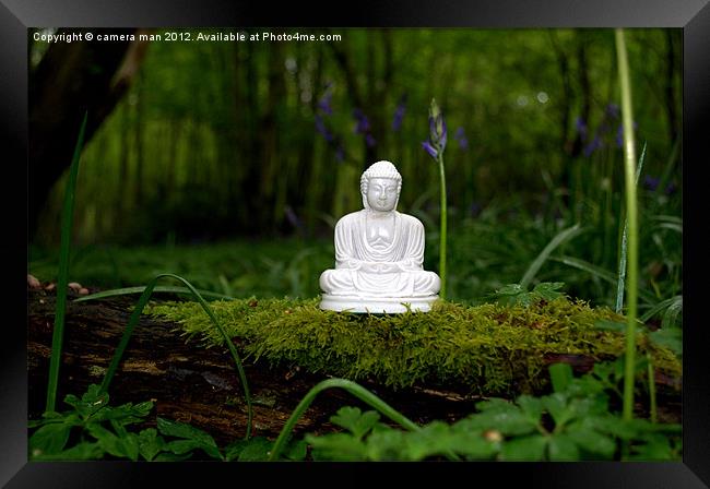 Meditating Buddha Framed Print by camera man