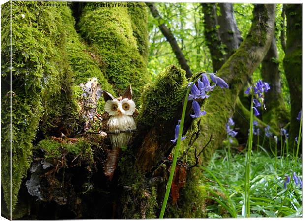 Owl Woods Canvas Print by camera man