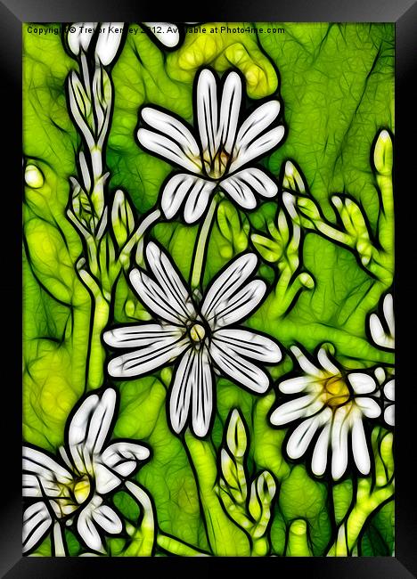 Wild Flowers - Stitchwort Framed Print by Trevor Kersley RIP