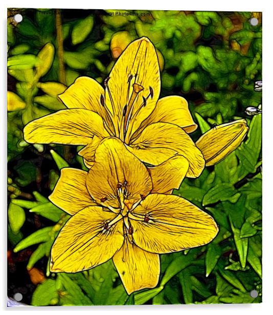 Yellow Lily's Acrylic by Trevor Kersley RIP