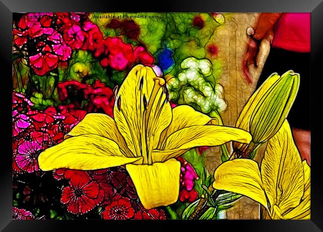 Yellow Lily's Framed Print by Trevor Kersley RIP