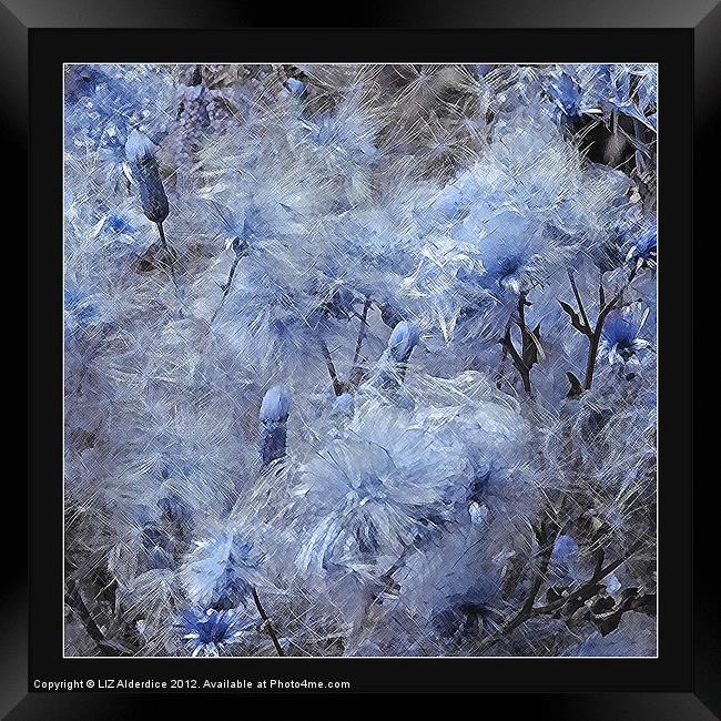 Thistle Down in Blue Framed Print by LIZ Alderdice