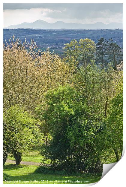 Scrabo Country Park, County Down Print by Jane McIlroy
