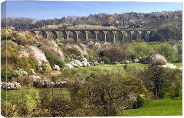 Dee Viaduct, Llangollen valley Canvas Print by Rob Lester