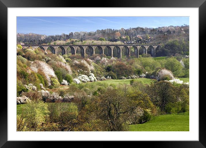 Dee Viaduct, Llangollen valley Framed Mounted Print by Rob Lester