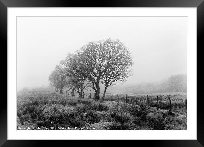 Season of mists (mono) Framed Mounted Print by Rob Lester