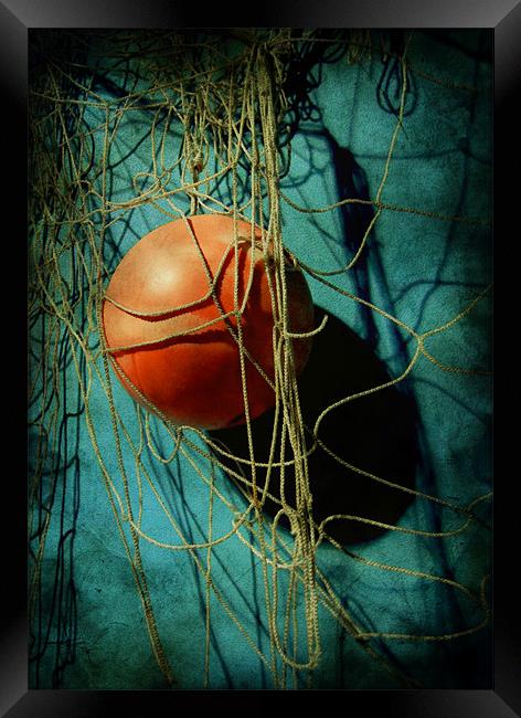 nets and buoy Framed Print by Heather Newton