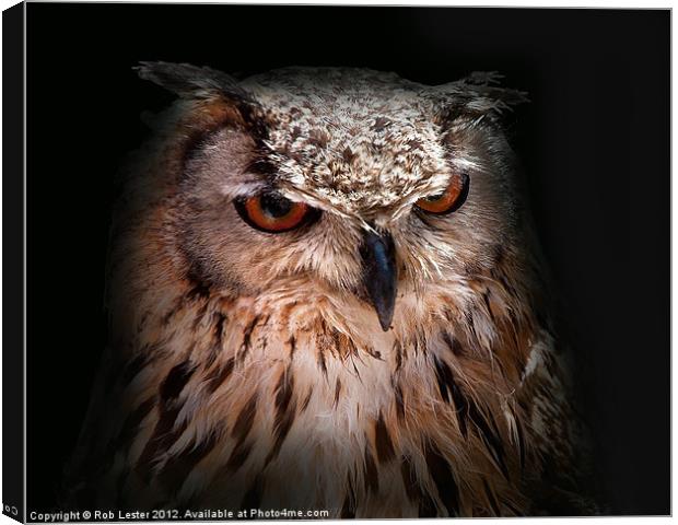 Eagle owl Canvas Print by Rob Lester