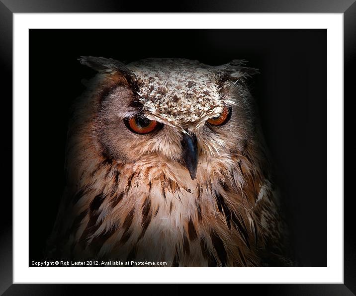 Eagle owl Framed Mounted Print by Rob Lester