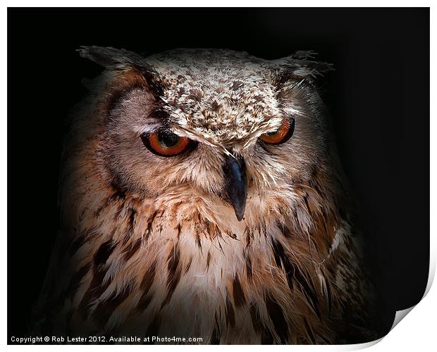 Eagle owl Print by Rob Lester