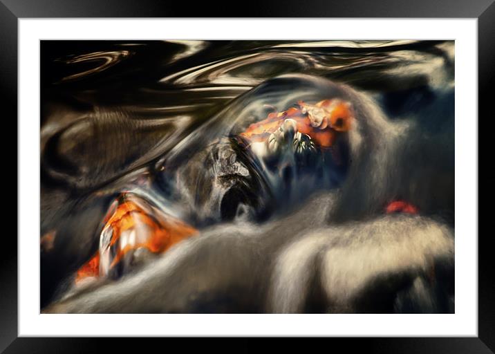Autumn abstract Framed Mounted Print by Gabor Dvornik