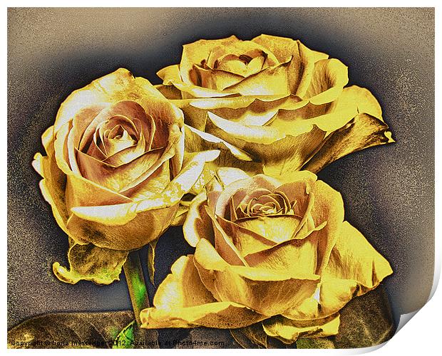Yellow roses Print by Fiona Messenger
