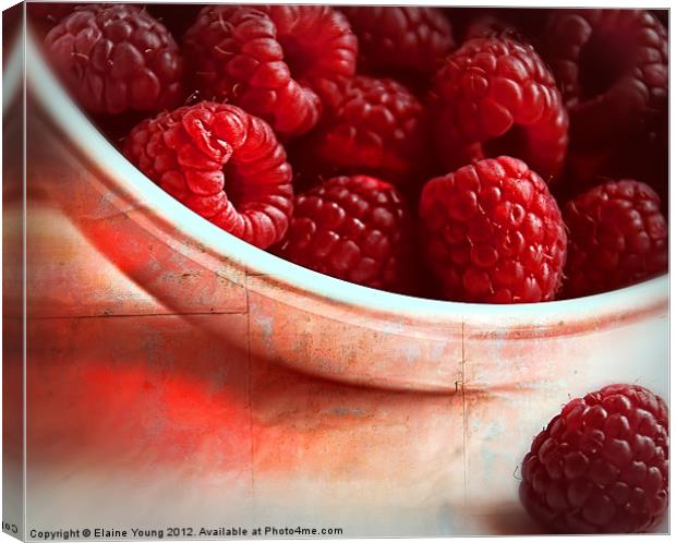Raspberries Canvas Print by Elaine Young