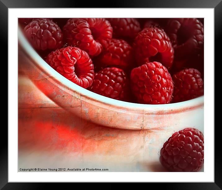 Raspberries Framed Mounted Print by Elaine Young