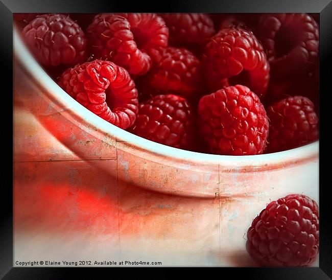 Raspberries Framed Print by Elaine Young