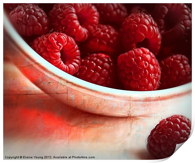Raspberries Print by Elaine Young