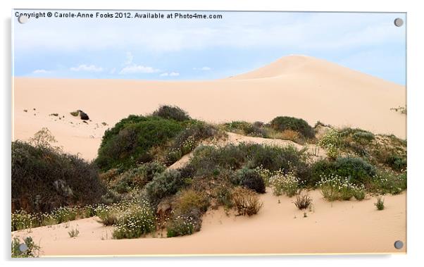 Dunes & Wildflowers Acrylic by Carole-Anne Fooks