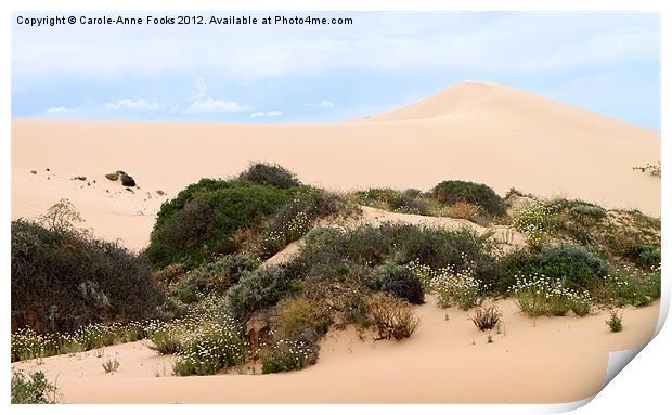 Dunes & Wildflowers Print by Carole-Anne Fooks