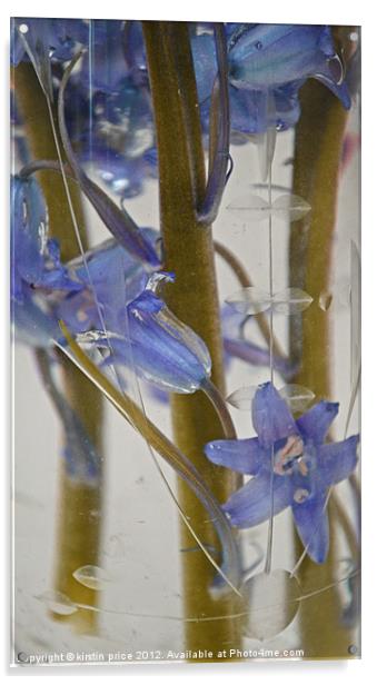 watery bluebells Acrylic by kirstin price