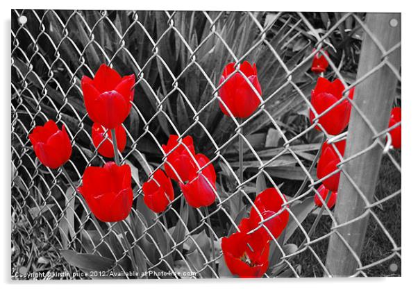 don't fence me in Acrylic by kirstin price