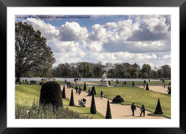 Park Life Framed Mounted Print by Neal P