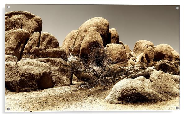 Joshua Tree Desert Acrylic by Mary Lane
