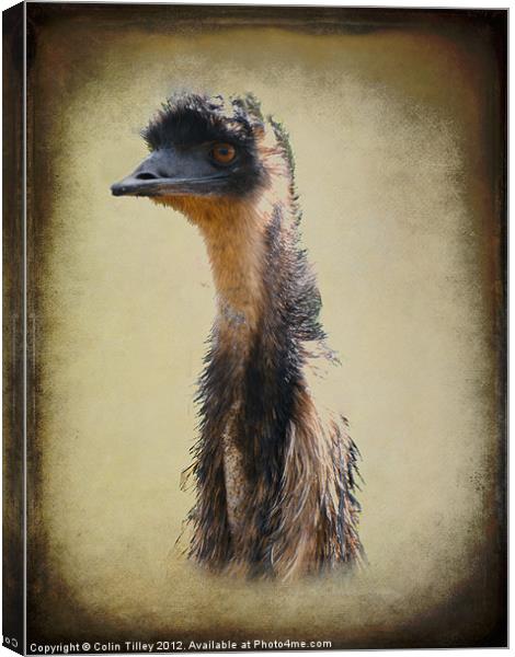 Emu Canvas Print by Colin Tilley