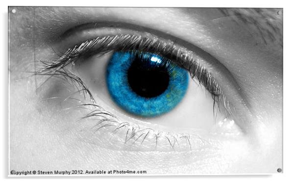 Eye Spy Acrylic by Steven Murphy